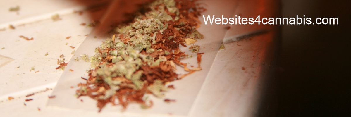 websites4cannabis.com